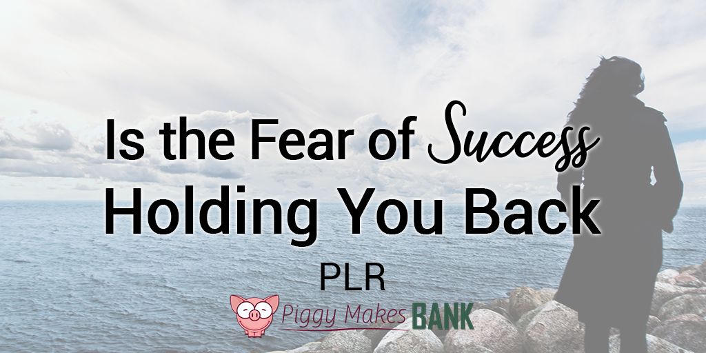 NEW Fear of Success PLR