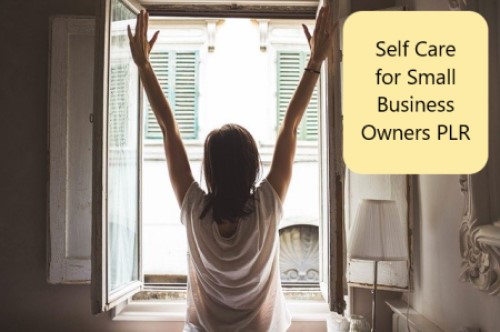 Self Care for Business Owners 2 PLR Articles COMING SOON!
