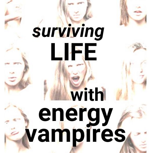 Energy Vampires DFY Canva Ebook