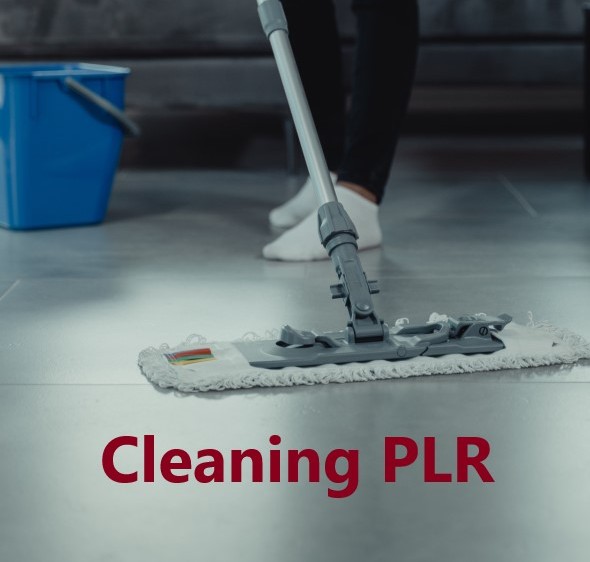 Cleaning Hacks PLR for TikTok & Pinterest