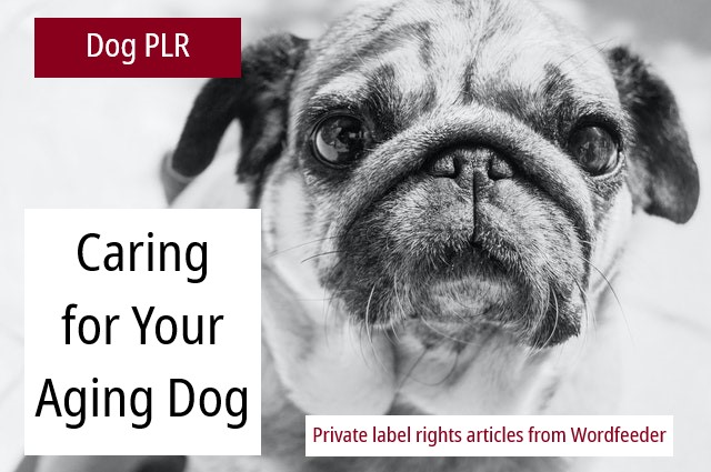NEW Dog PLR on Aging Dogs, Senior Dogs – White Label Content, Private Label Rights Ebook PLR