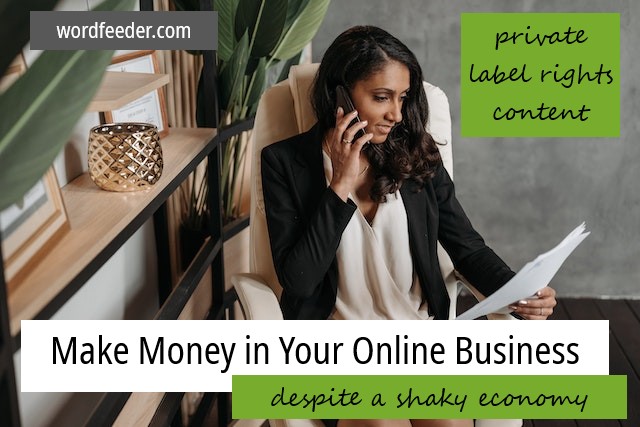 Make Money in Your Online Business Despite a Shaky Economy Part 1 (PLR)
