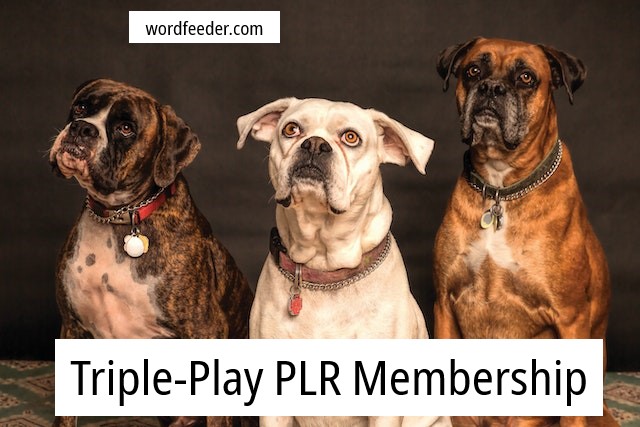 NEW Triple Play PLR Non Recurring Membership