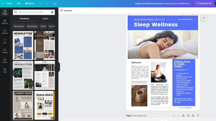 Sleep Wellness Newsletter in Canva. Private Label Rights!