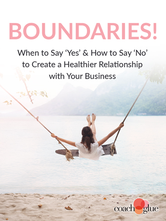 Coach Glue Business Boundaries Workbook and Video Script- Get it for a Great Price!