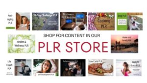 plr store