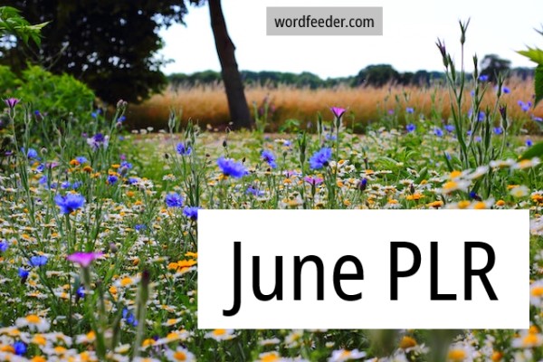 June PLR Content – New Business, Weight Loss, Life Coaching and Pot Luck PLR