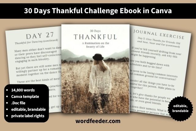 30 Days Thankful Gratitude Ebook or Journaling Challenge PLR in Canva