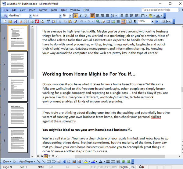 Launch a VA Business PLR Articles - Screen Shot of the Writing