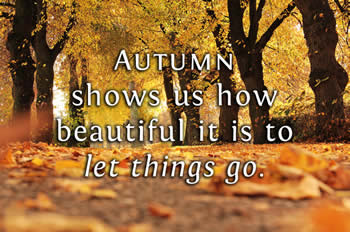 PLR Autumn Images