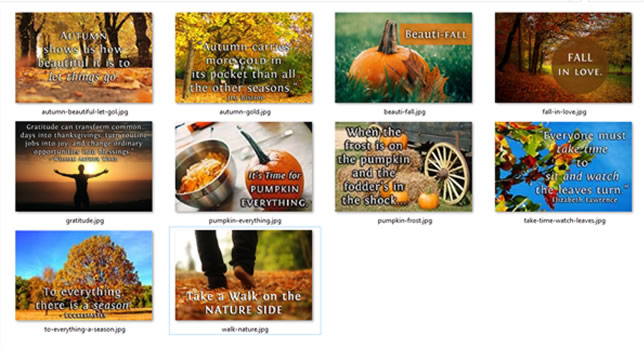 PLR Autumn Images - PLR Content