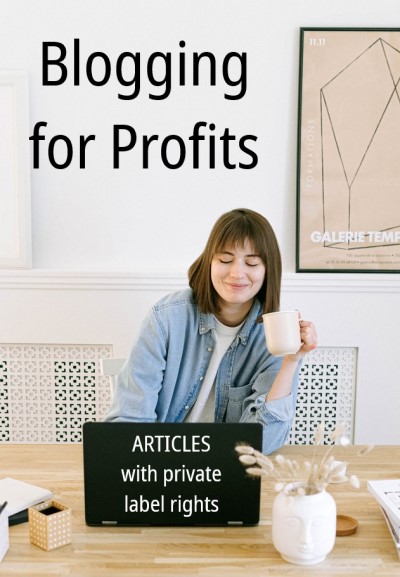 Blogging for Profits - PLR Articles