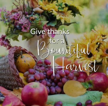 Bountiful Harvest PLR Image