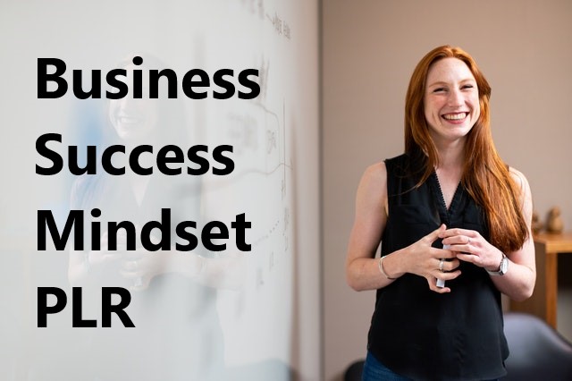 Business Success Mindset PLR Email Series -7800 words