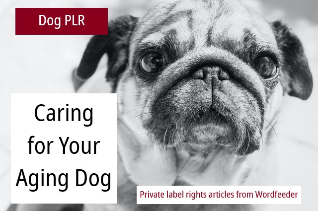 Caring for Your Aging Dog PLR