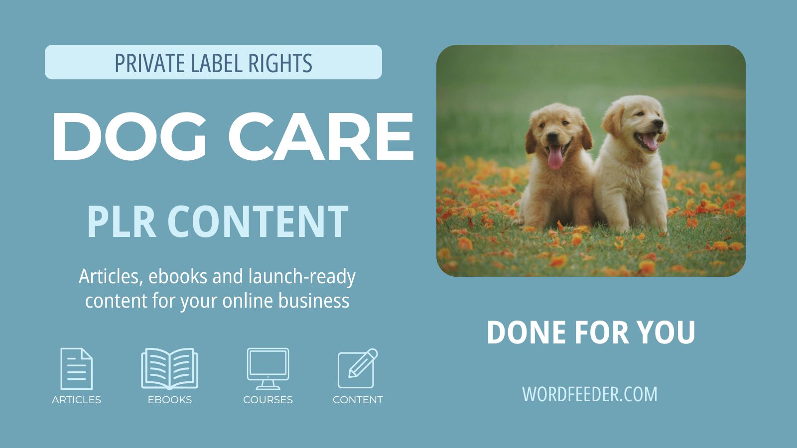 dog plr