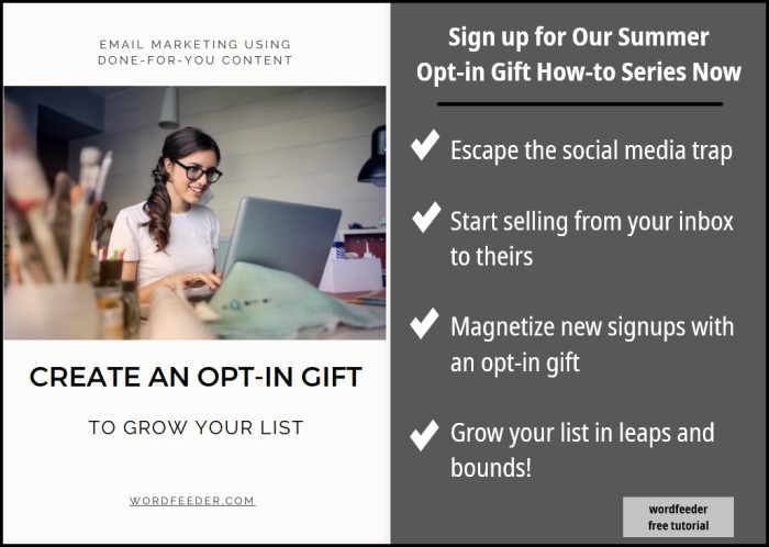 How to Create an Opt-In Gift Using PLR Content