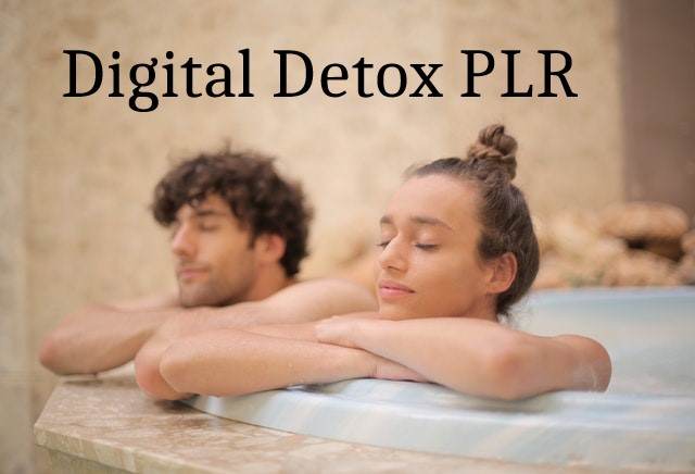 digital detox plr articles, tech mindfulness plr