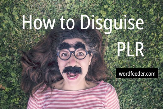 How to Disguise PLR and Make It Your Own