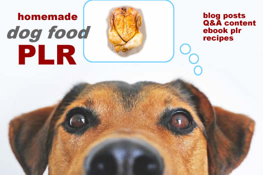 Homemade Dog Food Recipes, Blog Posts, Q&A Content