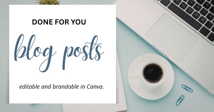 done for you blog posts plr