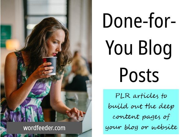 6 Steps to Blogging with Done-for-You Blog Posts