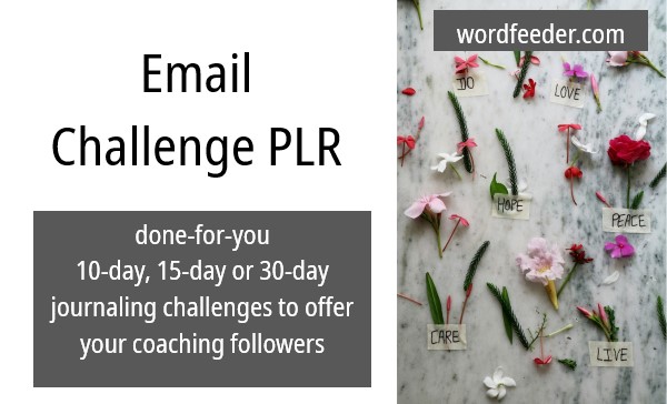 Email Challenge PLR, Done-for-You 30-Day Challenges for Coaches