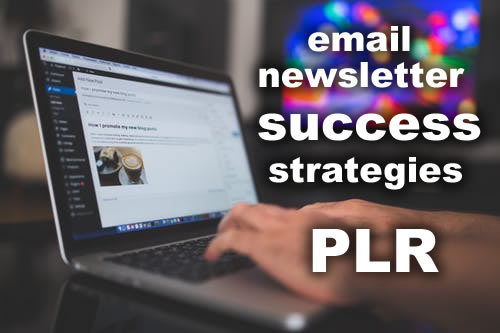 Email Newsletter Success Strategies PLR