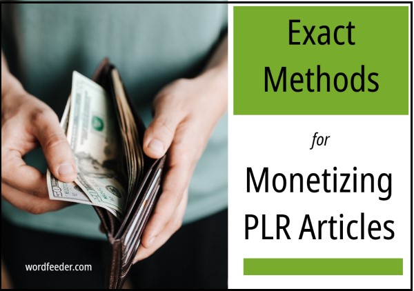 monetizing PLR counting the money