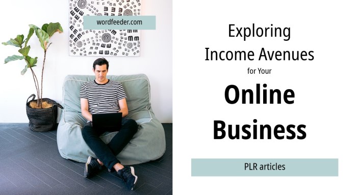 Explore Income Avenues in Online Business PLR Articles