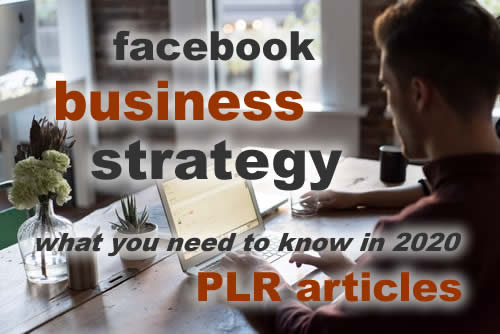 Facebook Business Strategy