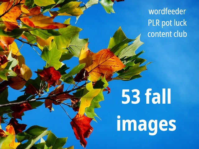 53 Fall Images with Private Label Rights