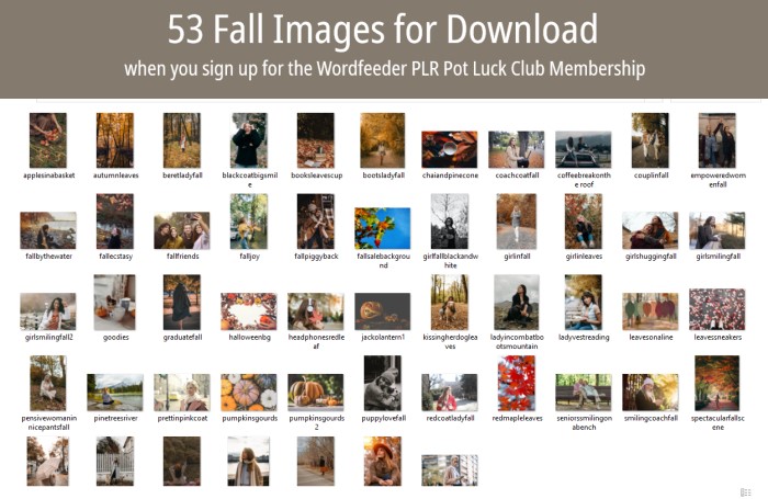 53 Fall Images with Private Label Rights - Screen Shot