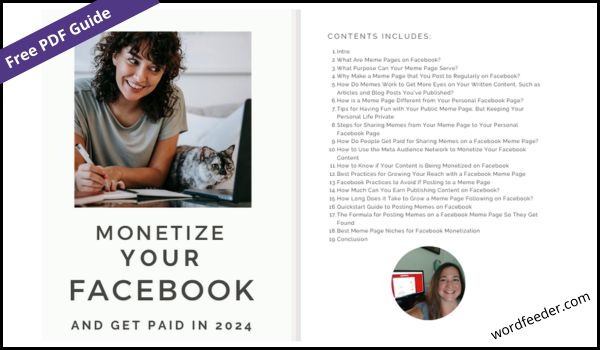 free guide monetize facebook in 2024