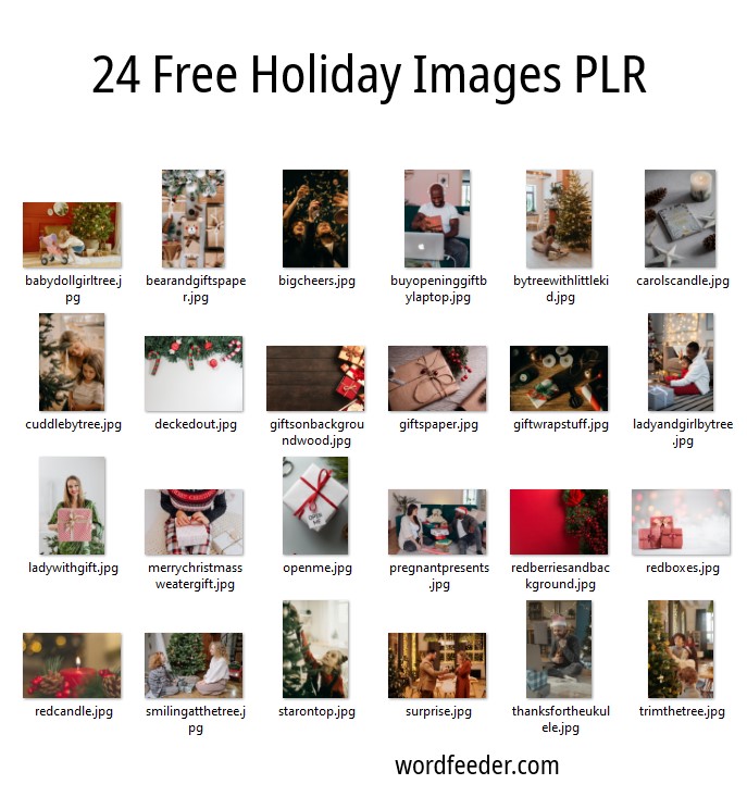 Free 24 Holiday Images PLR