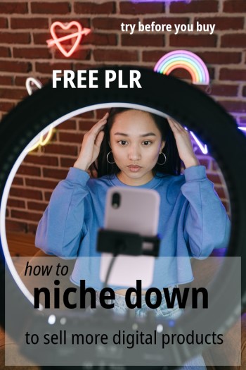 Free Business Article: Niche Down to Sell More Digital Products