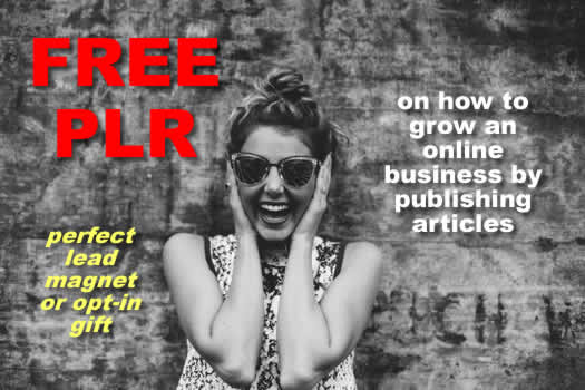 free PLR mini guide on how to grow an online business publishing articles