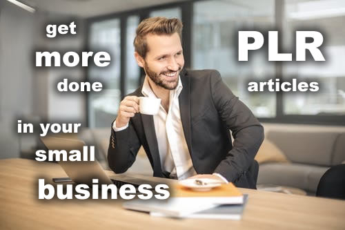 Get More Done in Your Small Business PLR