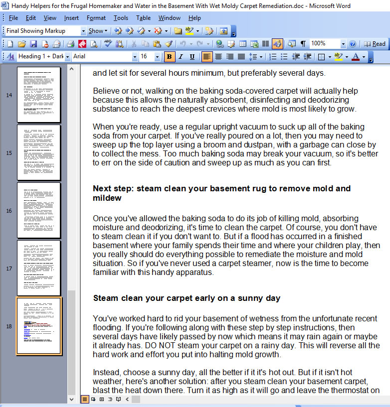 Water in the Basement, Moldy Carpet Remediation Writing Sample