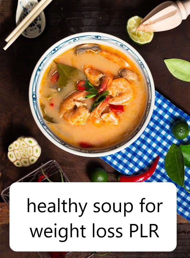 Healthy Soup for Weight Loss PLR Articles & Recipes