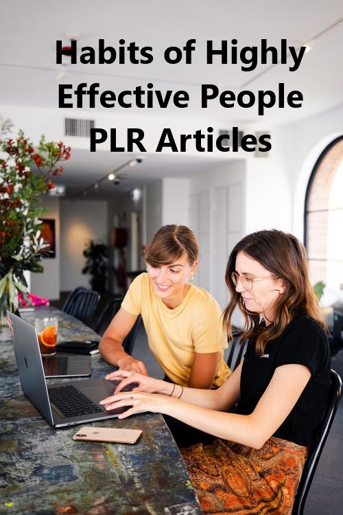 Habits of Highly Effective People PLR Articles