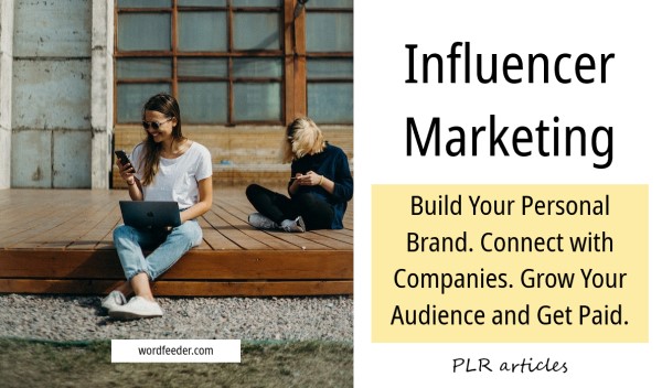 Influencer Marketing: Build Your Personal Brand. Connect with Companies. Grow Your Audience and Get Paid - 8K words total 