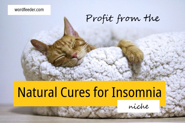 Profiting from the Insomnia Natural Cures Niche: Tips, Amazon Products to Promote