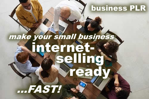 How to Make Your Small Business Internet-Ready FAST! PLR Articles