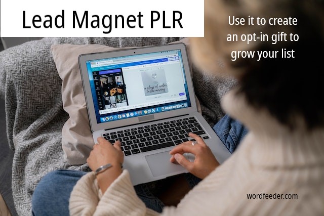 Lead Magnet PLR to Create an Opt-In Gift