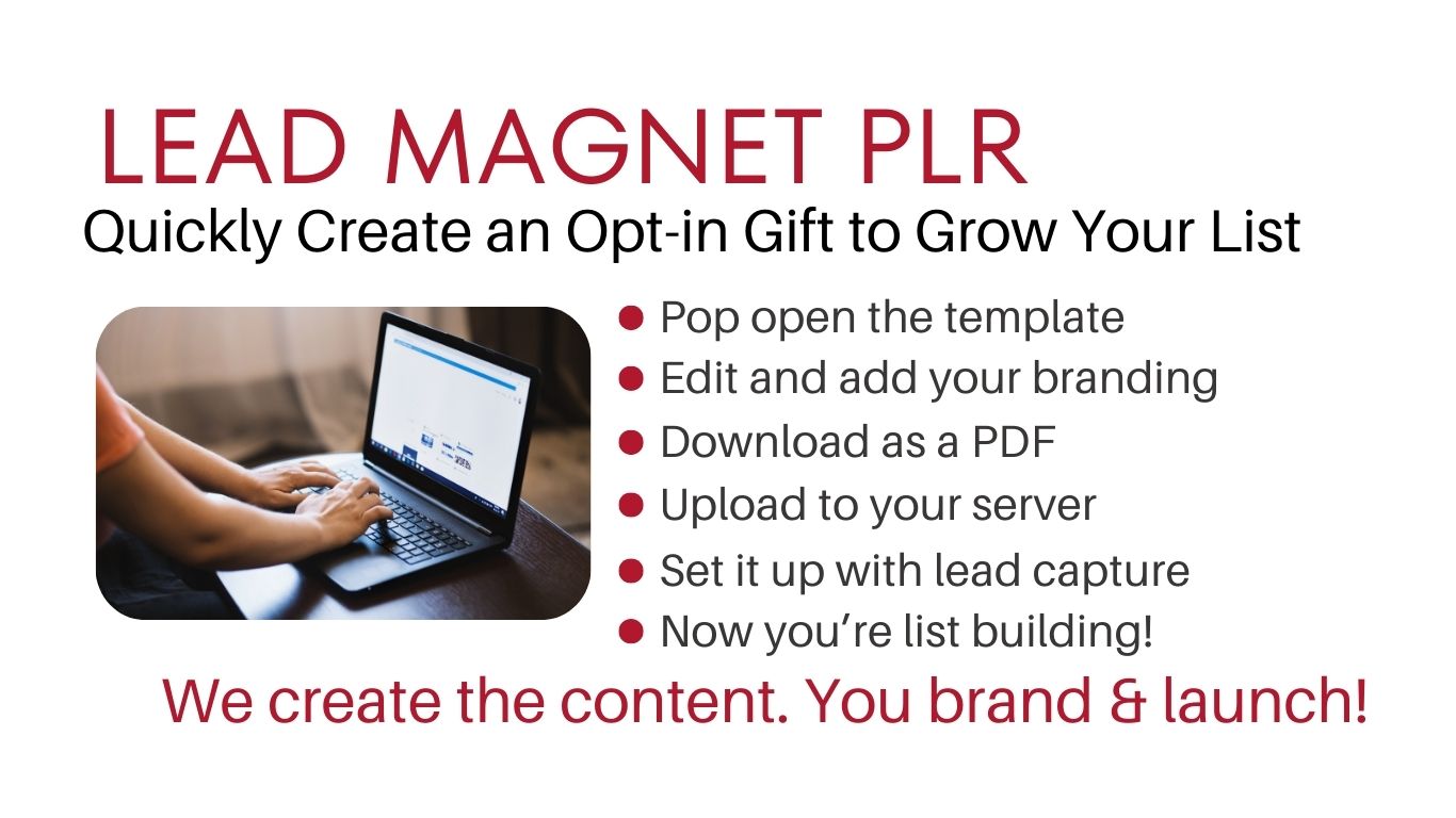 Lead Magnet PLR