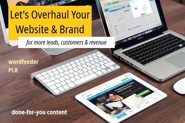 Let's Overhaul Your Website and Brand for More Leads, Customers and Revenue PLR Articles