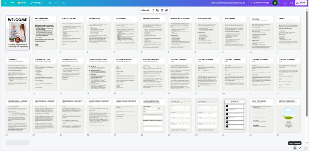 Life Coach Onboarding Kit Canva - Screenshot of Pages