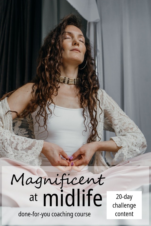 Magnificent at Midlife 20-Day Challenge Done for You Content