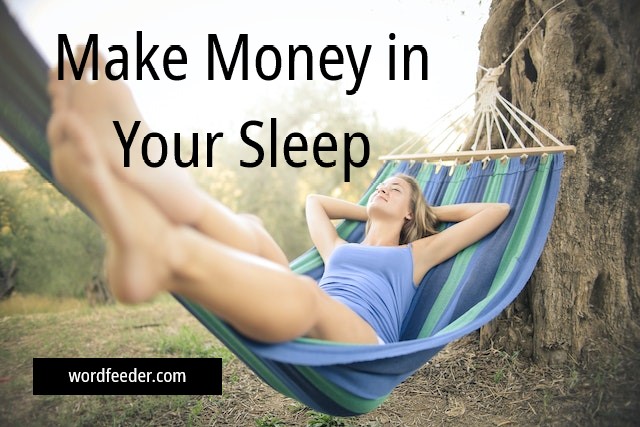 Make Money in Your Sleep. Niche Blog Monetization Tips for Newbies